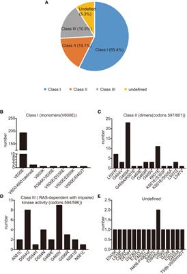 Efficacy of chemo-immunotherapy in metastatic BRAF-mutated lung cancer: a single-center retrospective data